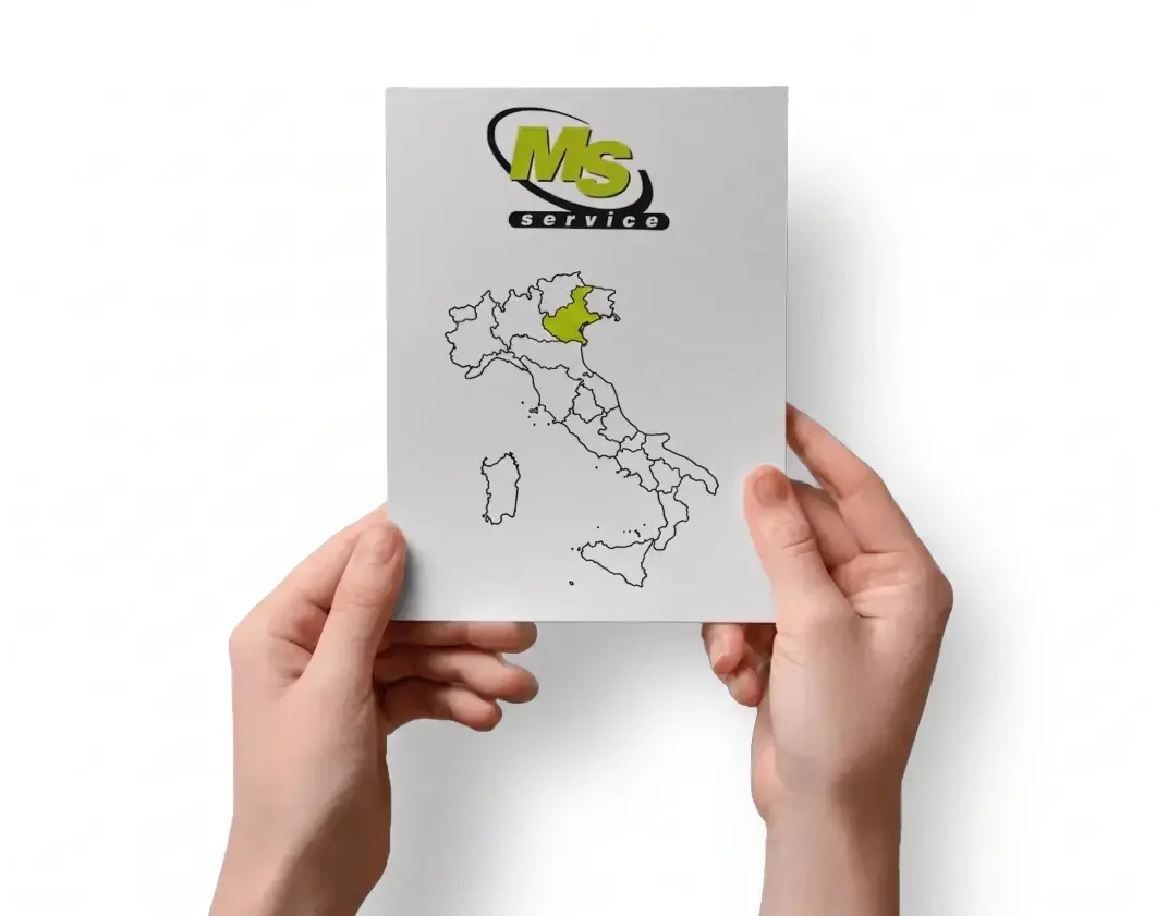 MS Service a Rovigo